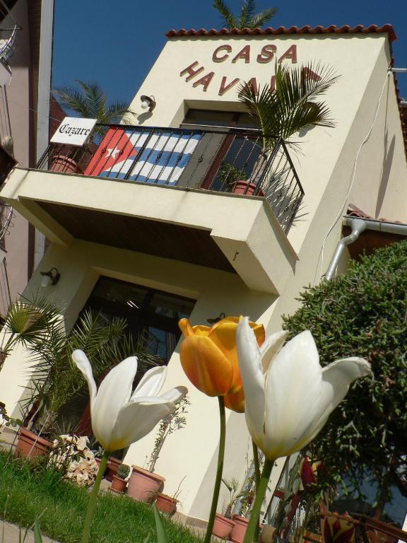 Casa Havana (Adults Only) Costinești Exterior foto