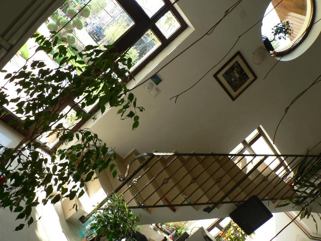Casa Havana (Adults Only) Costinești Exterior foto