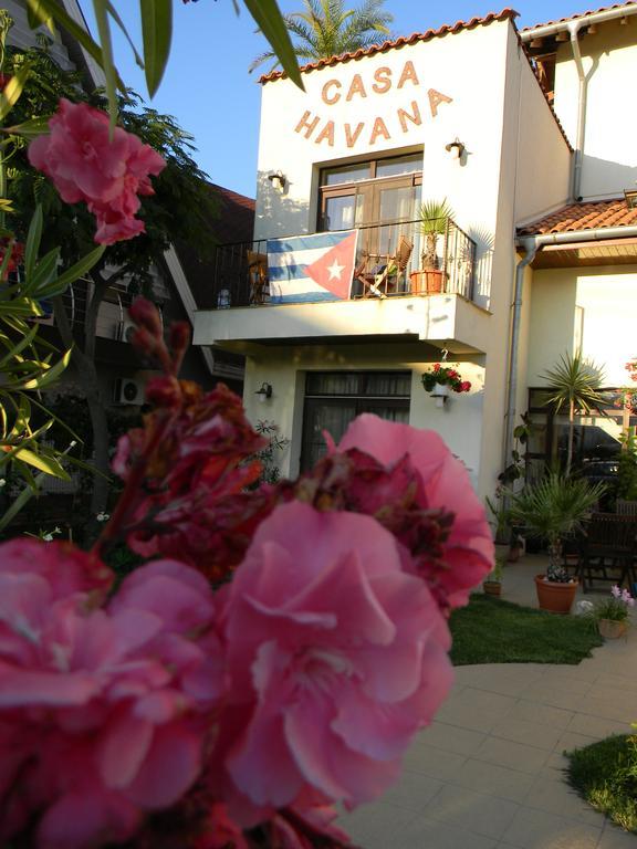 Casa Havana (Adults Only) Costinești Exterior foto